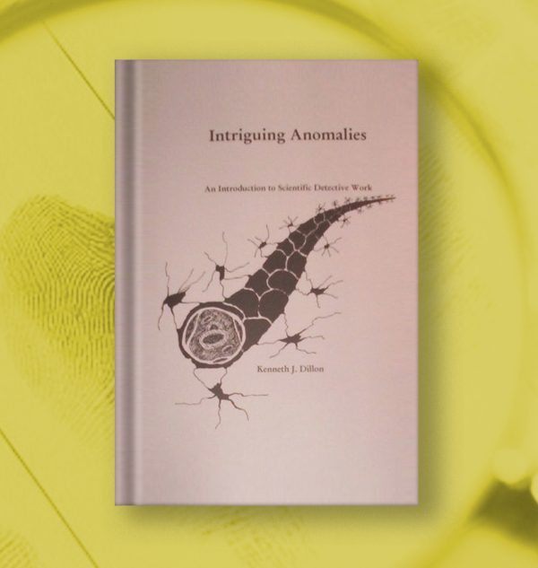 Intriguing Anomalies - Image 2